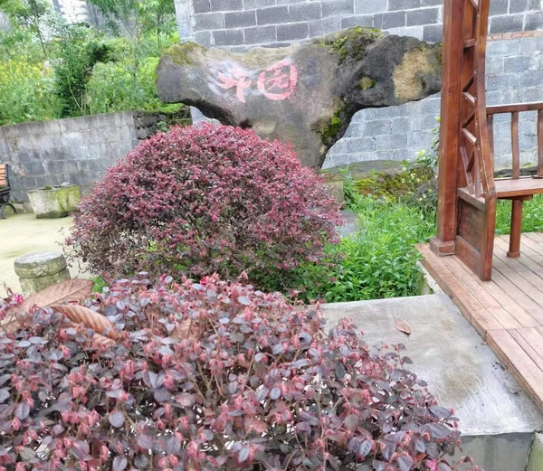重庆市南川区哪里有养老院？