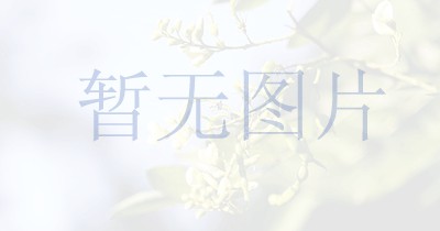 社区居家养老的基本做法
